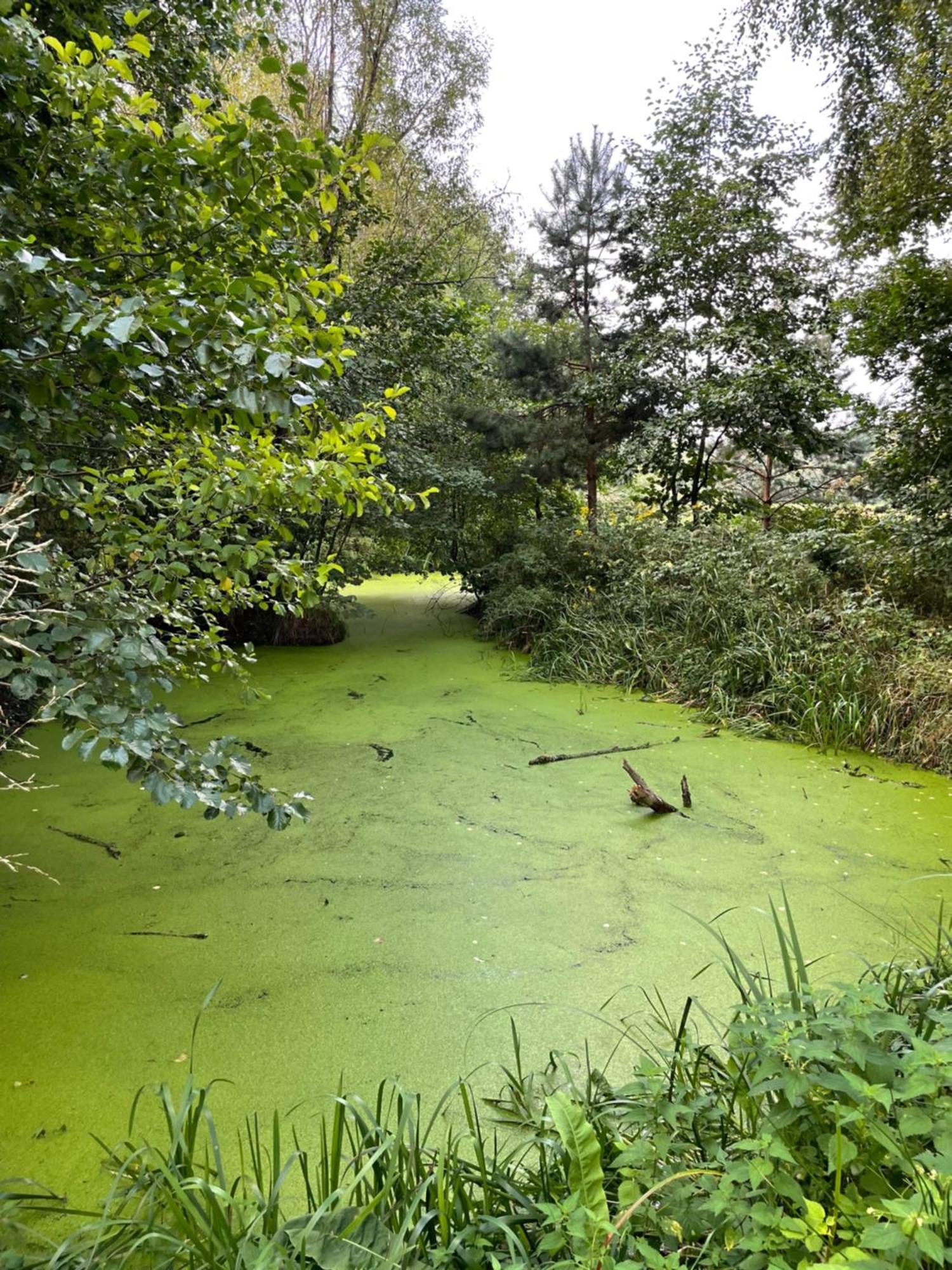 Letniskowy Zacisze Guciow