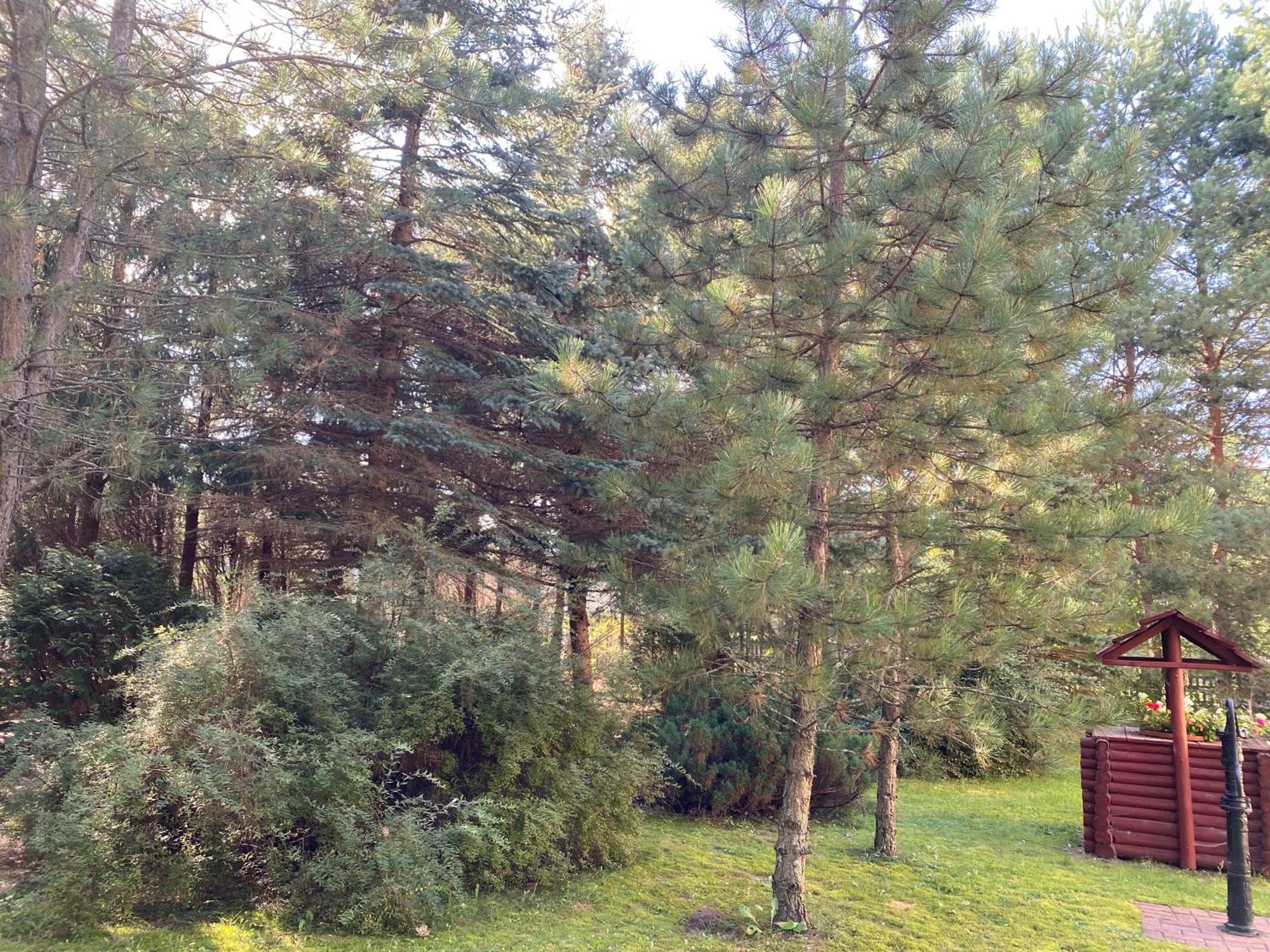 Letniskowy Zacisze Lodge *